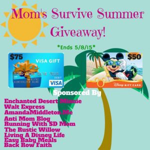 mom’s survive summer giveaway