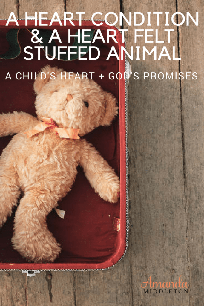 A Heart Condition And A Heart Felt Stuffed Animal