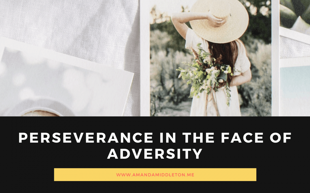 Perseverance in the Face of Adversity